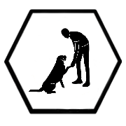 educacion canina